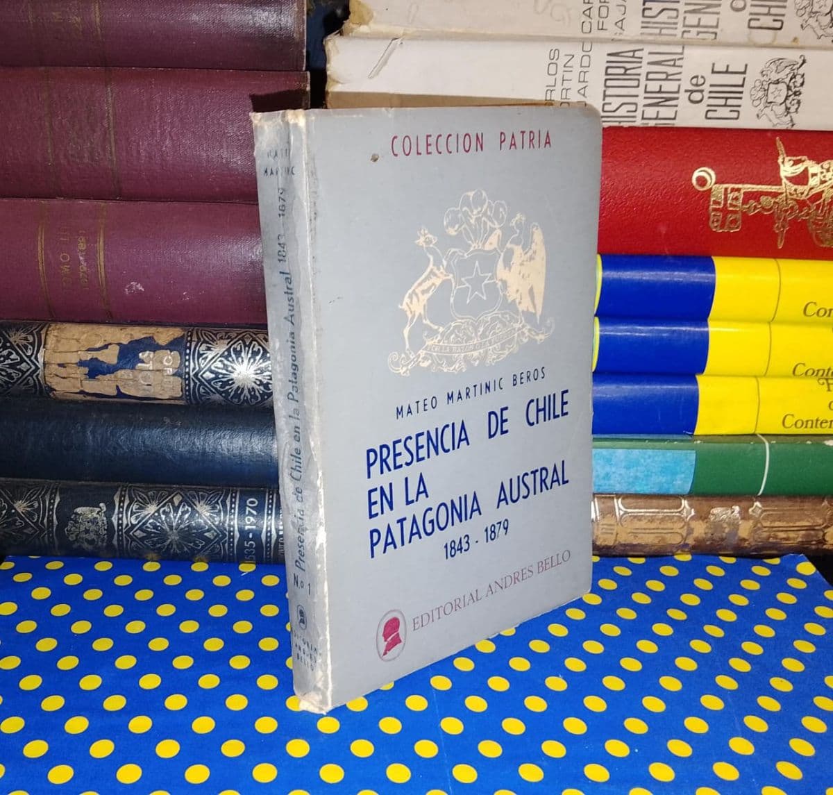 Presencia De Chile En La Patagonia Austral — Mateo Martinic, libro usado (foto 1 de 6)