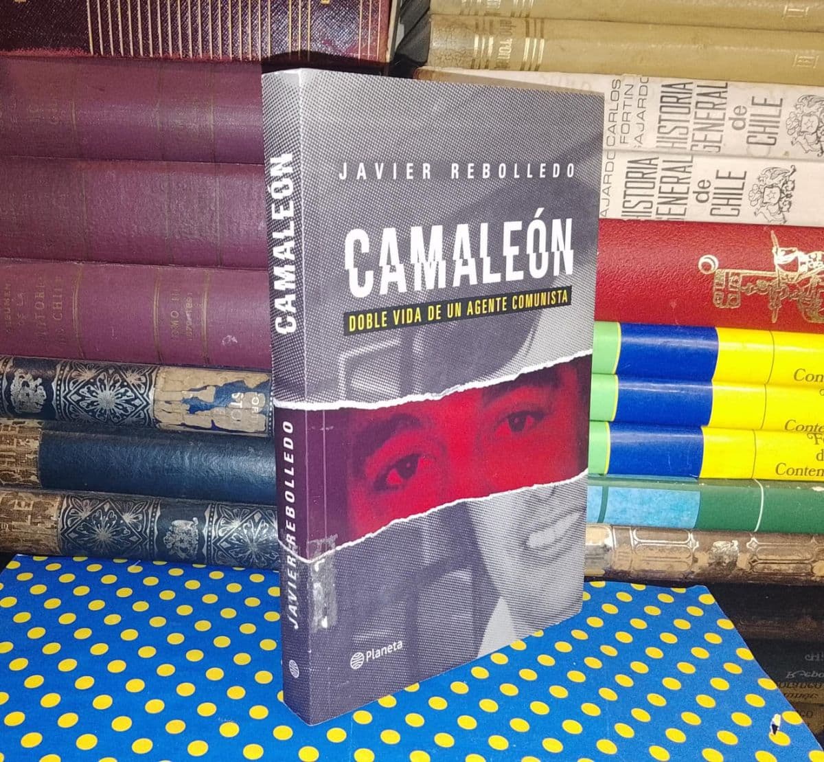 Camaleón — Javier Rebolledo, libro usado (foto 1 de 3)