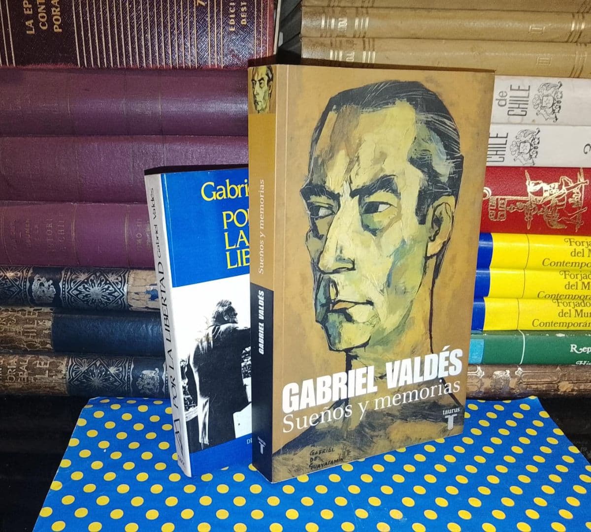 Pack 2 Libros - Gabriel Valdés — Gabriel Valdés , libro usado (foto 1 de 6)