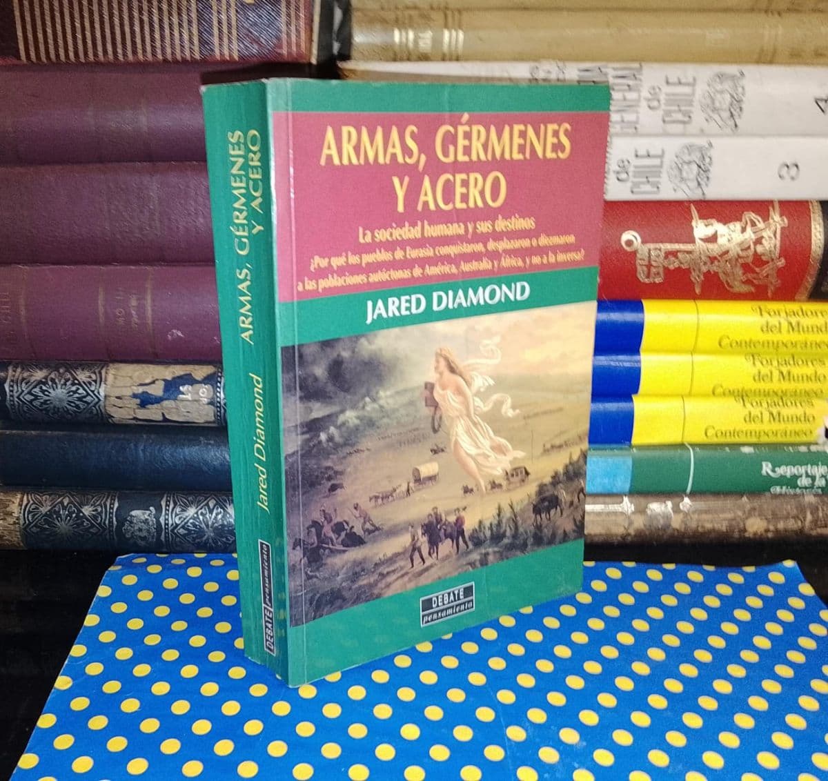Armas, Gérmenes Y Acero — Jared Diamond, libro usado (foto 1 de 6)