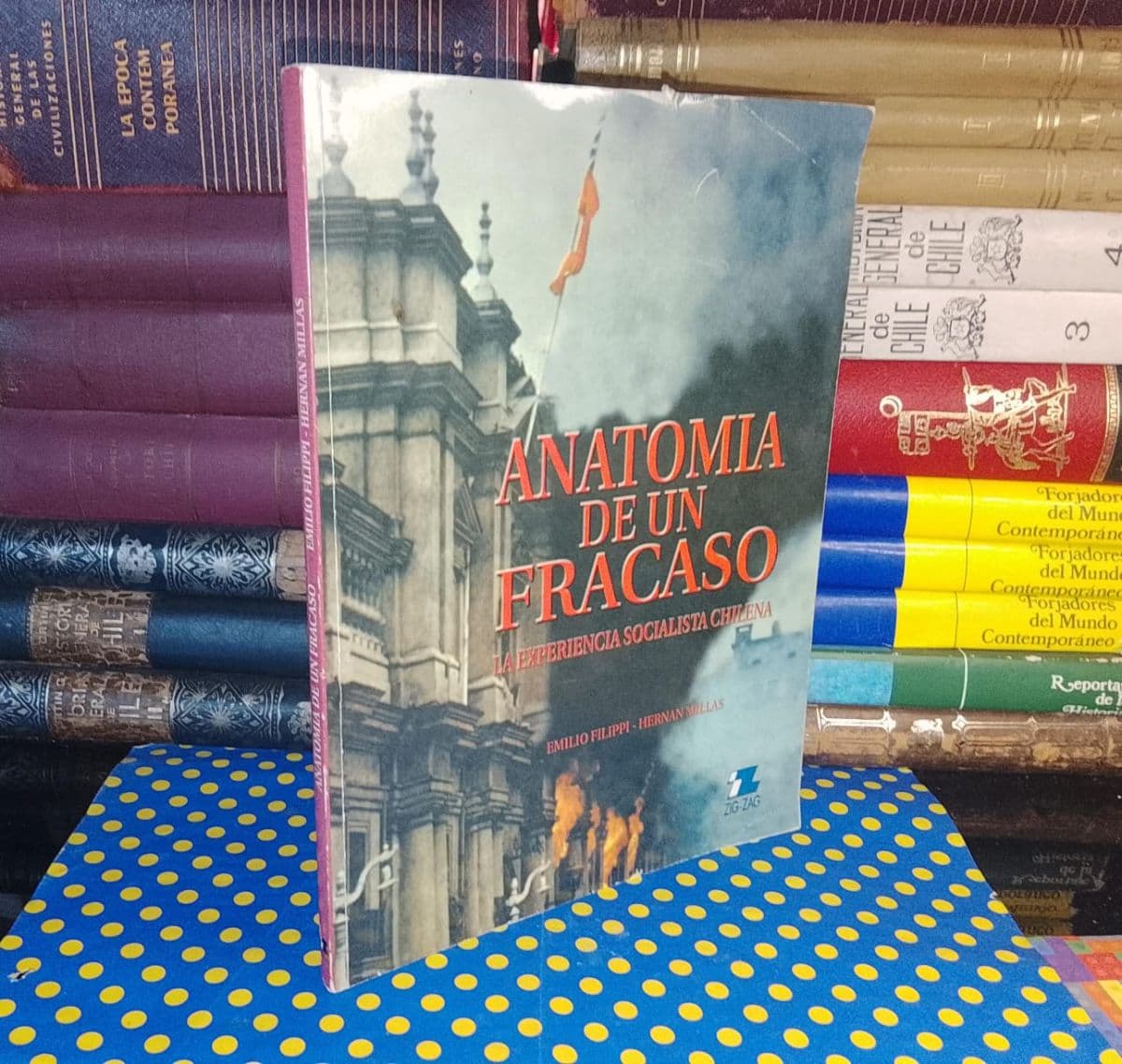 Anatomía De Un Fracaso — Emilio Filippi | Hernán Millas, libro usado (foto 1 de 5)