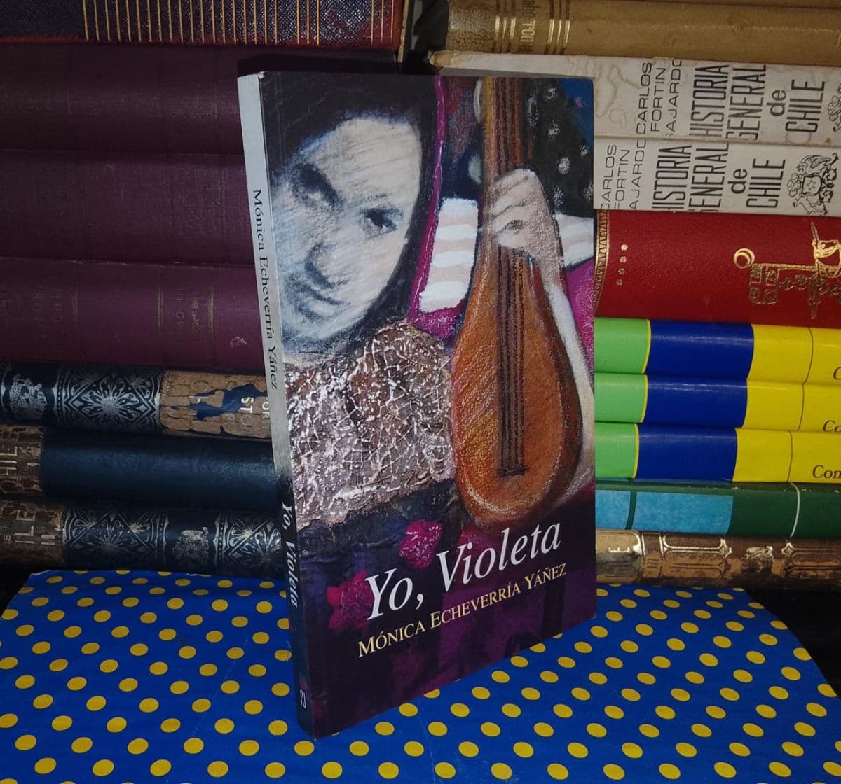 Yo, Violeta — Mónica Echeverría, libro usado (foto 1 de 4)