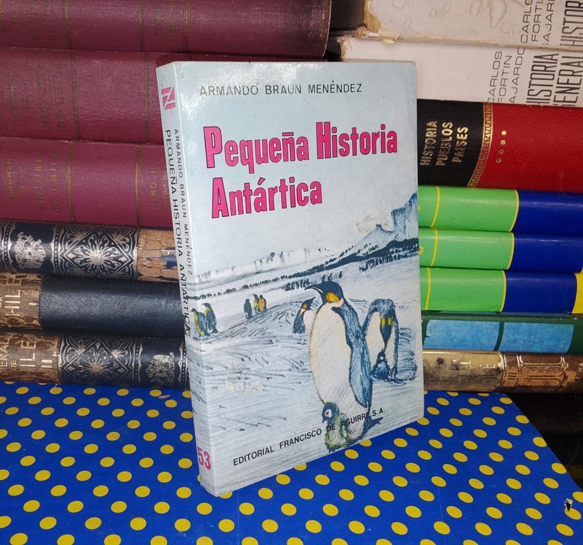Pequeña Historia Antártica - Armando Braun Menéndez