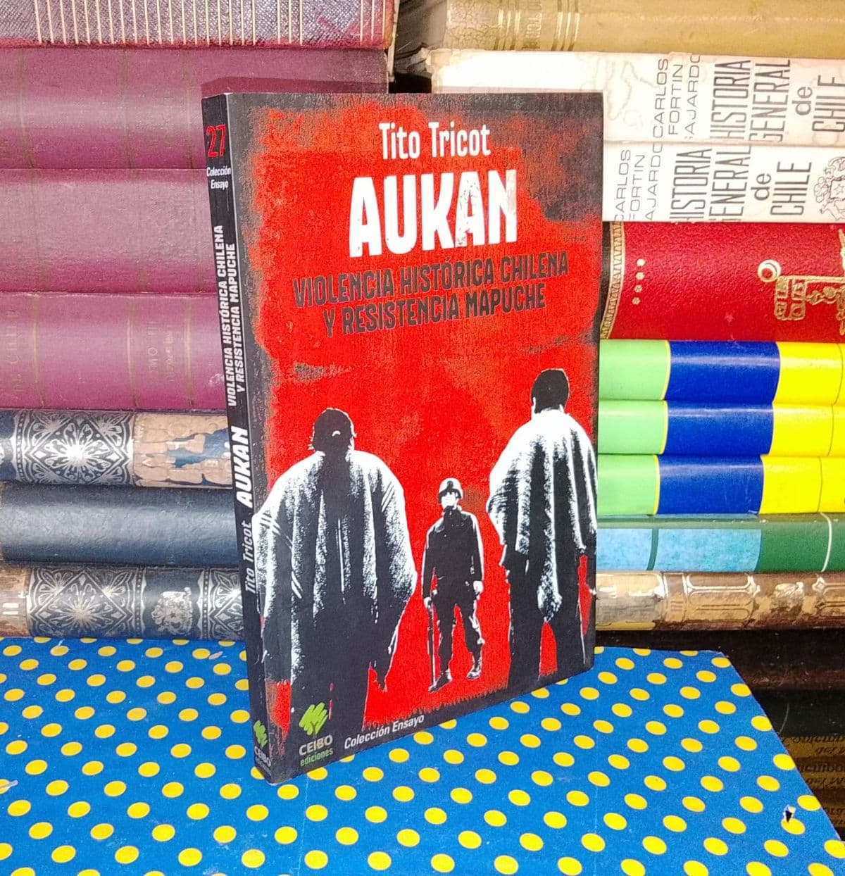 Aukan - Violencia histórica chilena y resistencia mapuche — Tito Tricot, libro usado (foto 1 de 5)