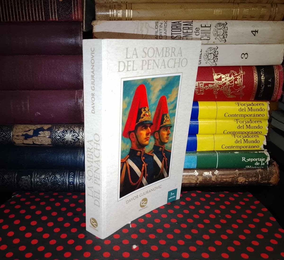 La Sombra Del Penacho — Davor Gjuranovic, libro usado (foto 1 de 5)