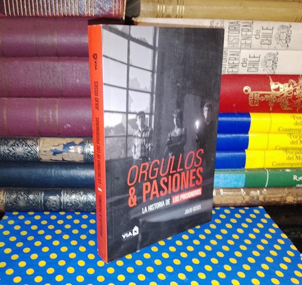 Orgullos & Pasiones — Julio Osses, libro usado
