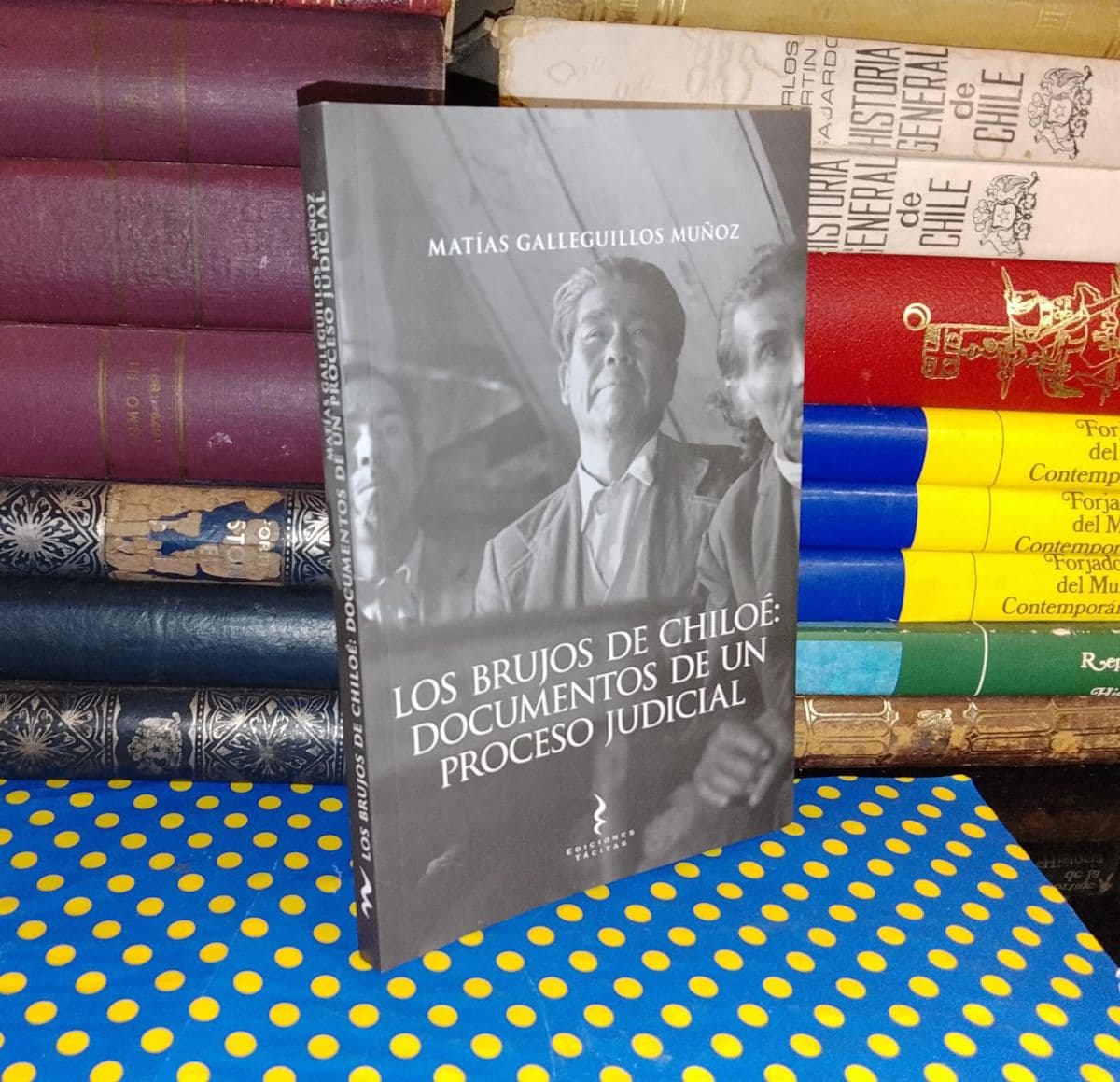 Los Brujos De Chiloé: Documentos De Un Proceso Judicial — Matías Galleguillos Muñoz, libro usado (foto 1 de 4)