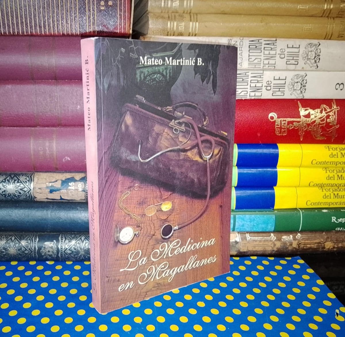 La Medicina En Magallanes — Mateo Martinic, libro usado