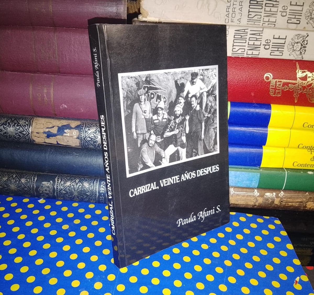 Carrizal, Veinte Años Después — Paula Alfani, libro usado (foto 1 de 6)
