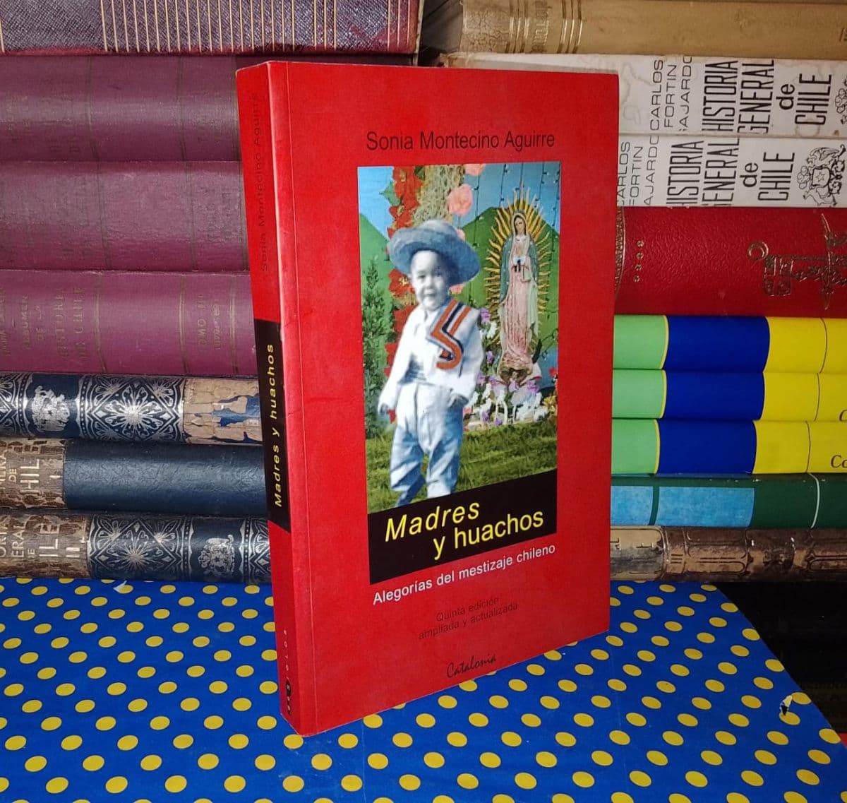Madres Y Huachos - Alegorías del mestizaje chileno — Sonia Montecino Aguirre, libro usado (foto 1 de 4)