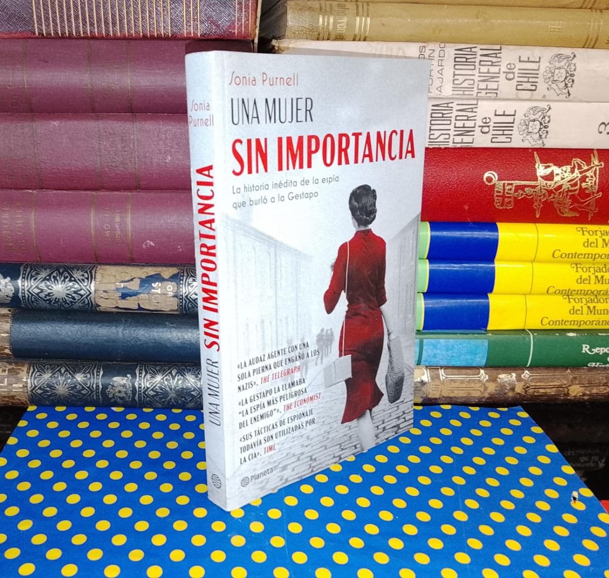 Una Mujer Sin Importancia — Sonia Purnell, libro usado (foto 1 de 4)