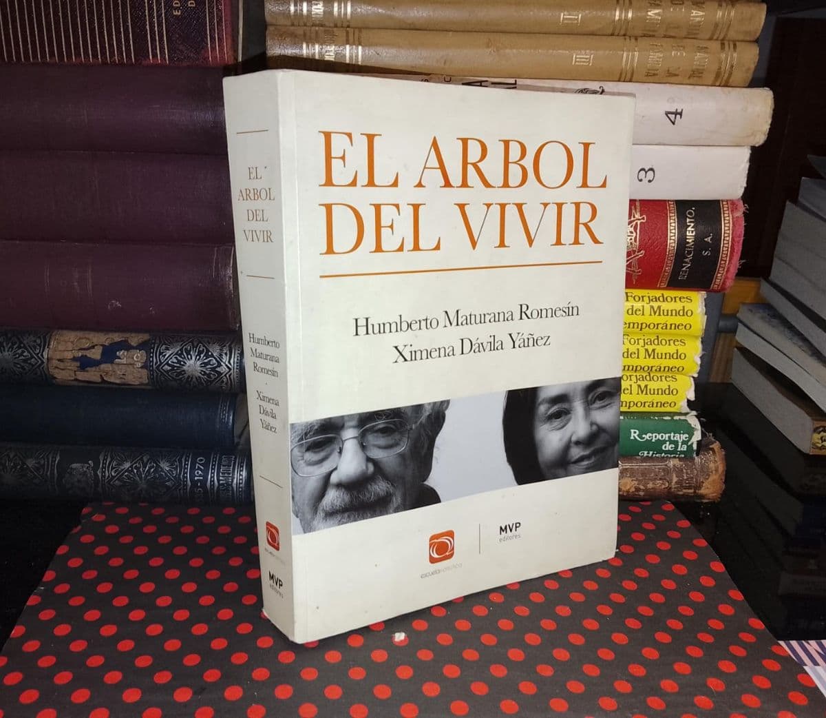 El Árbol Del Vivir — Humberto Maturana Romesín | Ximena Dávila Yáñez, libro usado