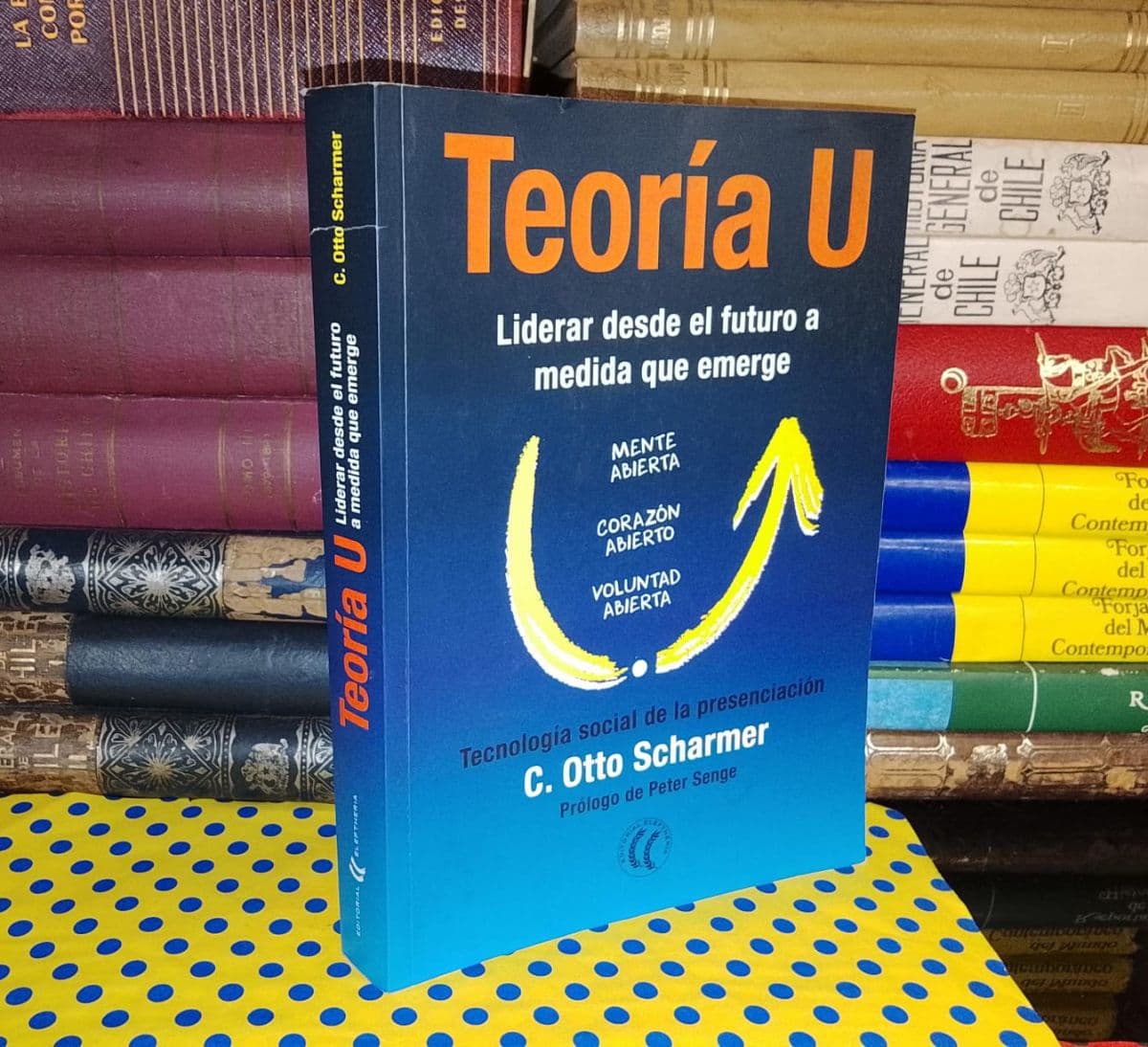 Teoría U — C. Otto Scharmer, libro usado (foto 1 de 6)