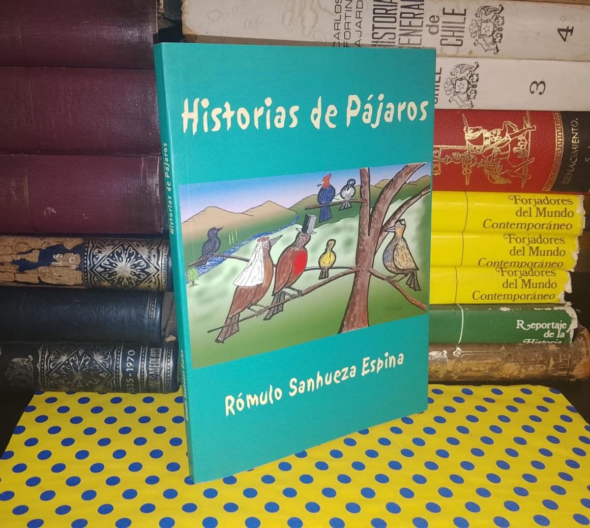 Historias De Pájaros — Rómulo Sanhueza Espina, libro usado (foto 1 de 3)