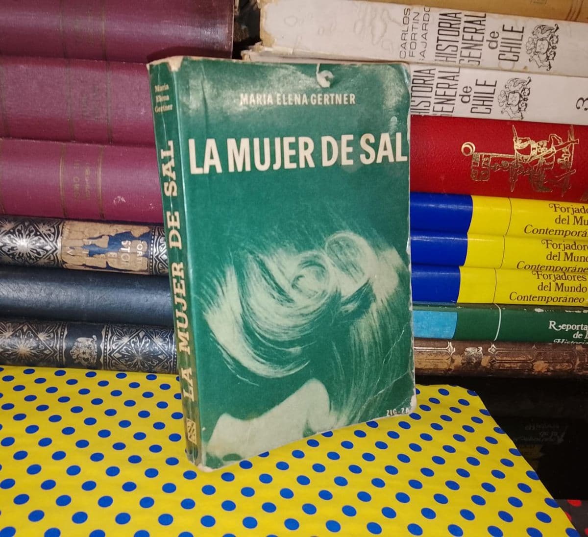 La Mujer De Sal — María Elena Gertner, libro usado (foto 1 de 3)