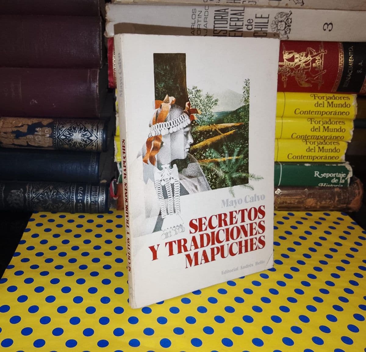 Secretos Y Tradiciones Mapuches — Mayo Calvo, libro usado (foto 1 de 5)