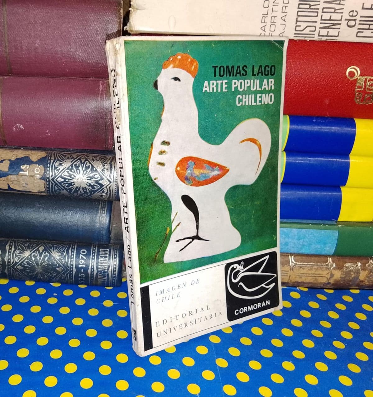 Arte Popular Chileno — Tomás Lago, libro usado (foto 1 de 6)