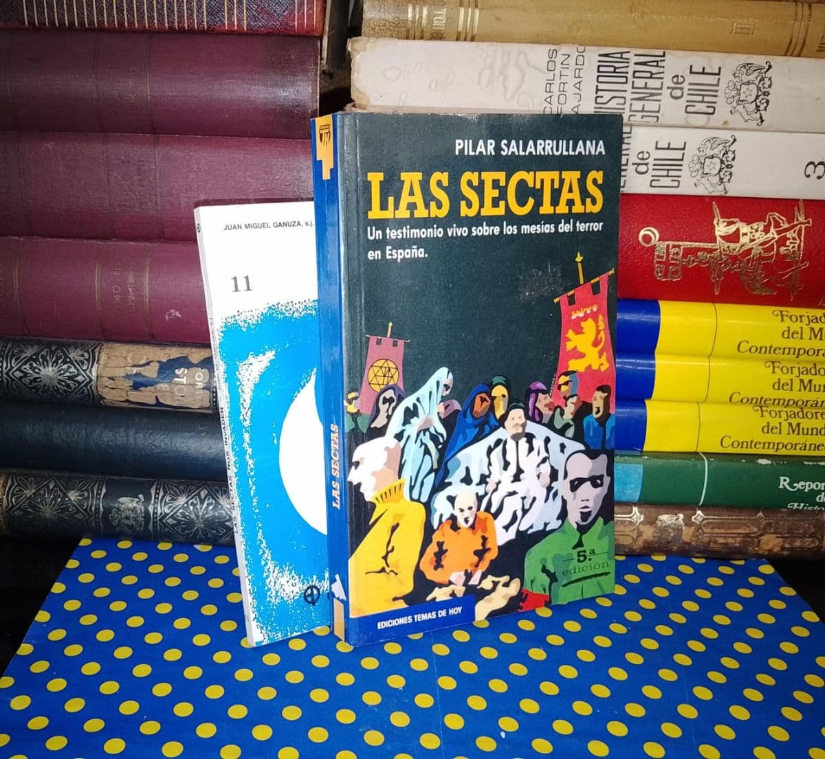 Pack 2 Libros Tema Sectas — Juan Miguel Ganuza | Pilar Salarrullana, libro usado