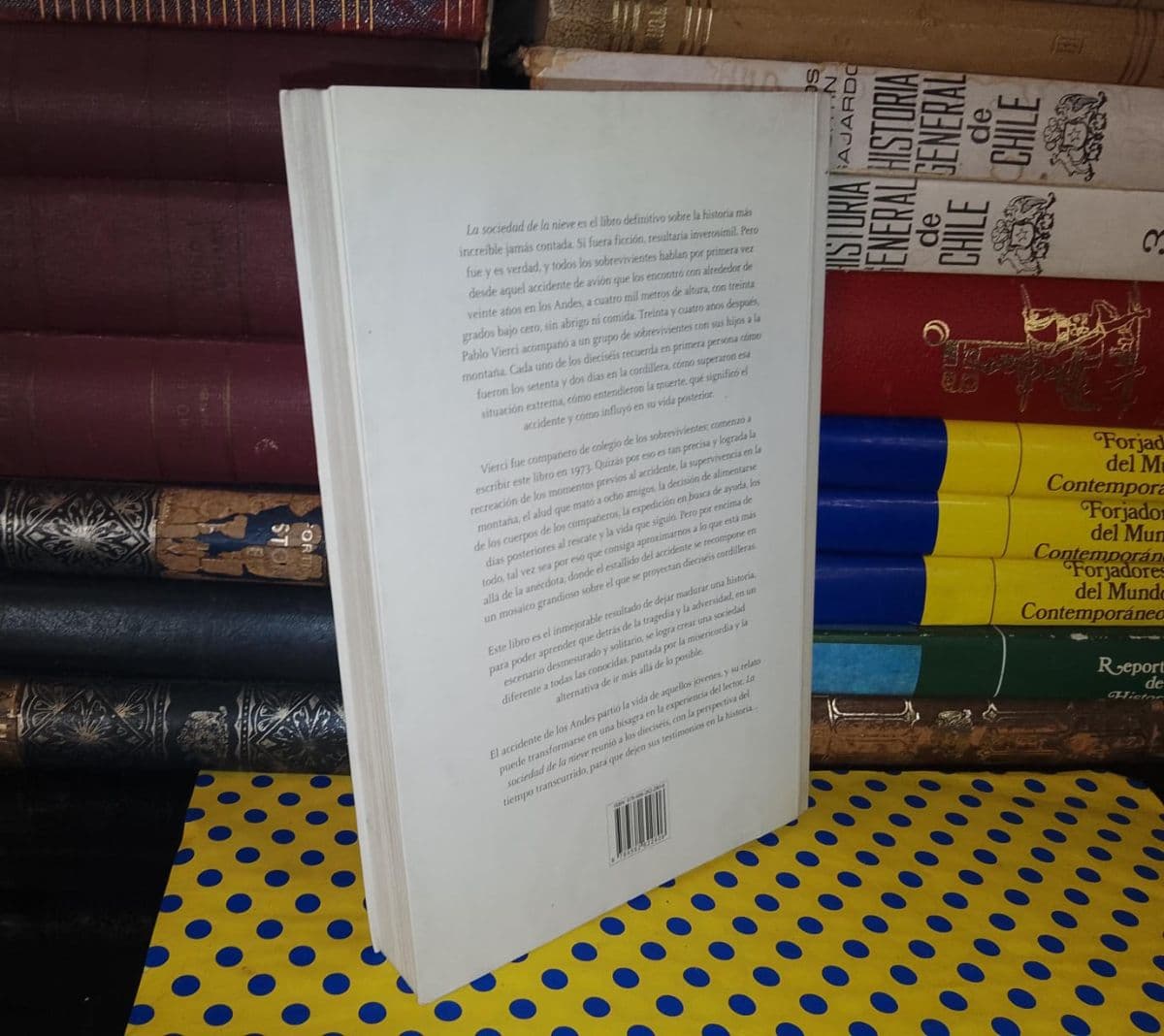 La Sociedad De La Nieve — Pablo Vierci, libro usado (foto 2 de 6)