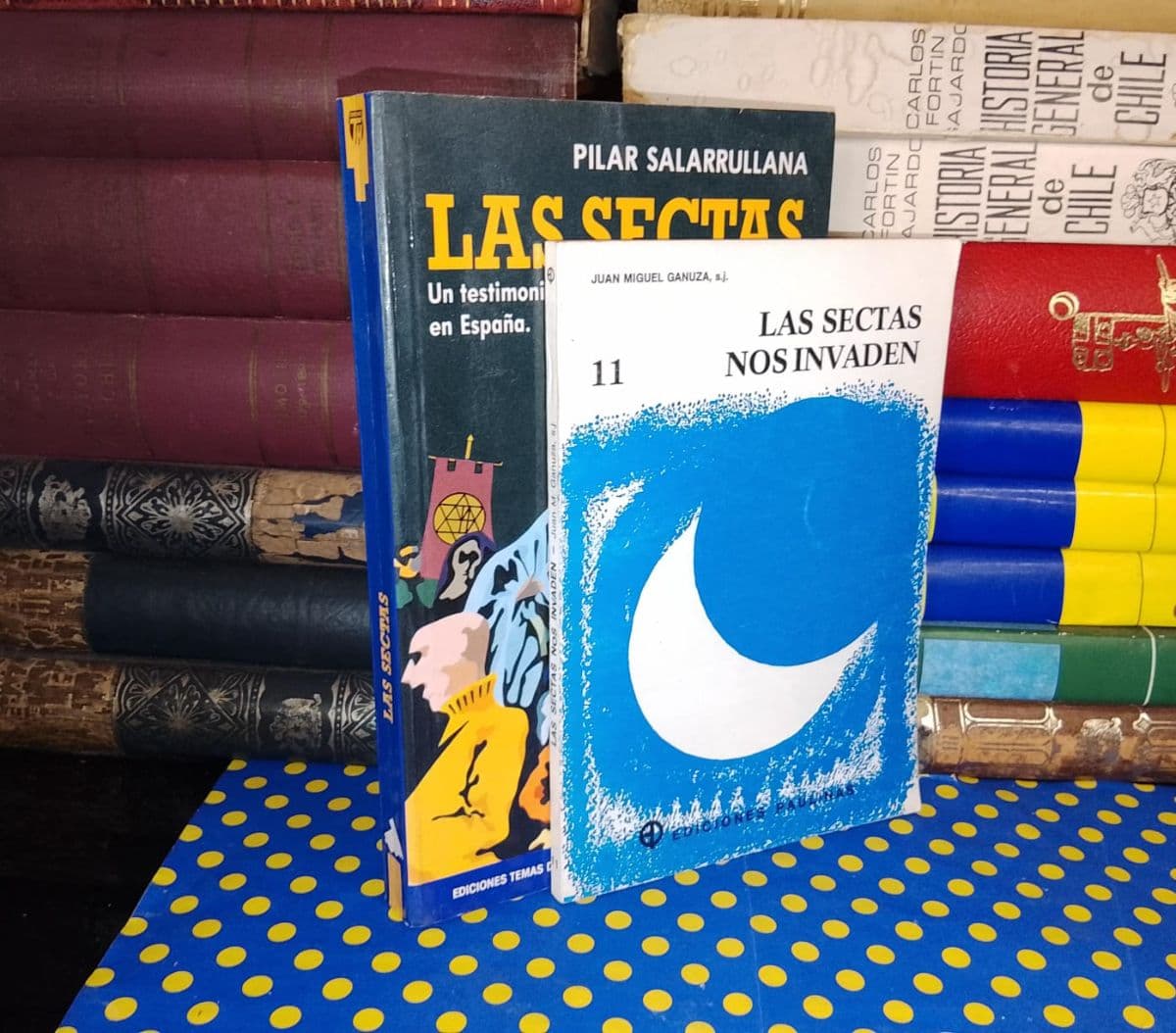 Pack 2 Libros Tema Sectas — Juan Miguel Ganuza | Pilar Salarrullana, libro usado (foto 2 de 6)