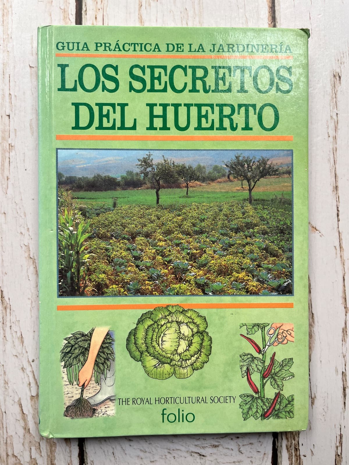 LOS SECRETOS DEL HUERTO Guía práctica de la jardinería — Nn mm, libro usado (foto 1 de 7)