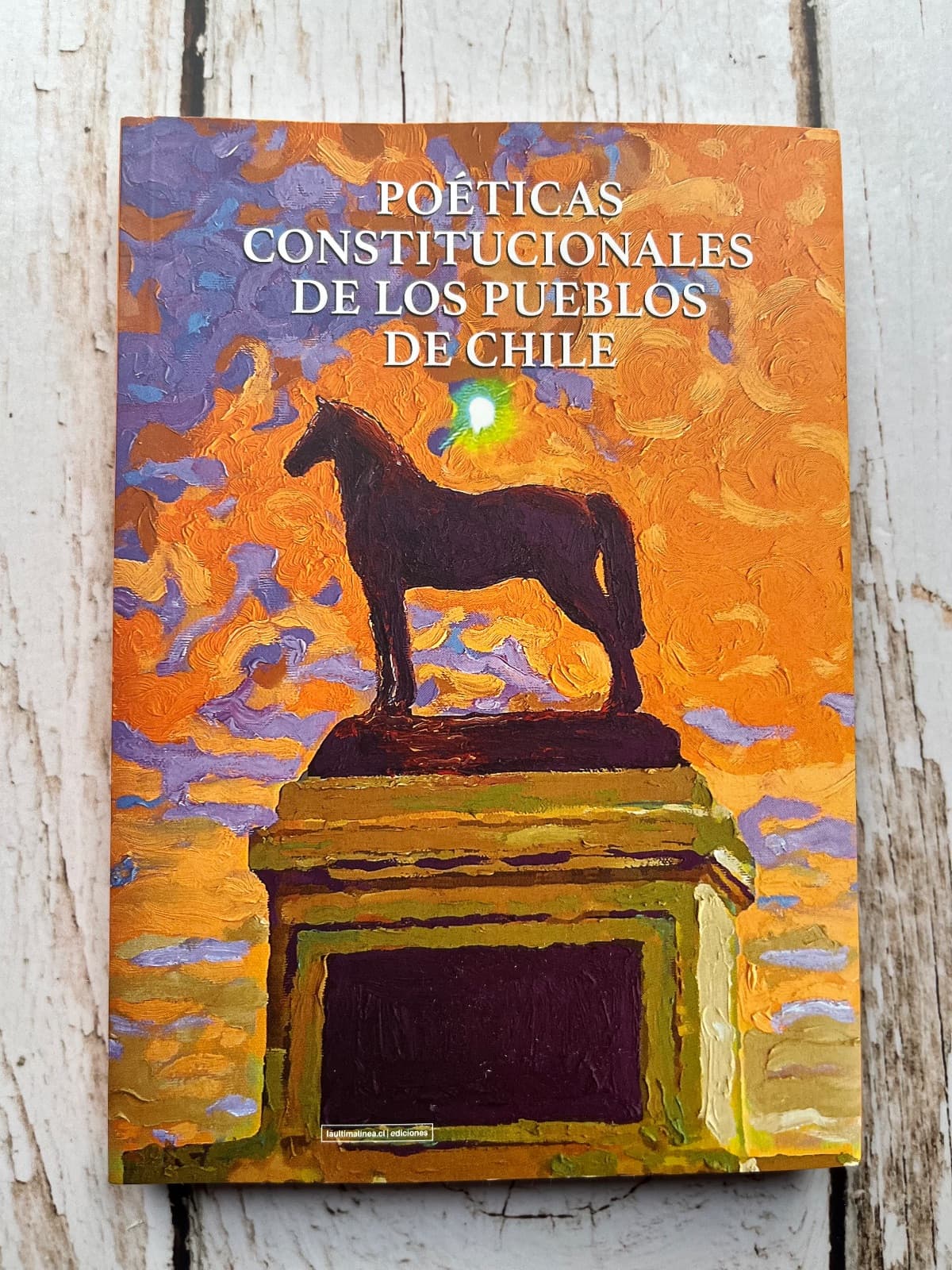 📚 POÉTICAS CONSTITUCIONALES DE LOS PUEBLOS DE CHILE — Varios, libro usado (foto 1 de 6)