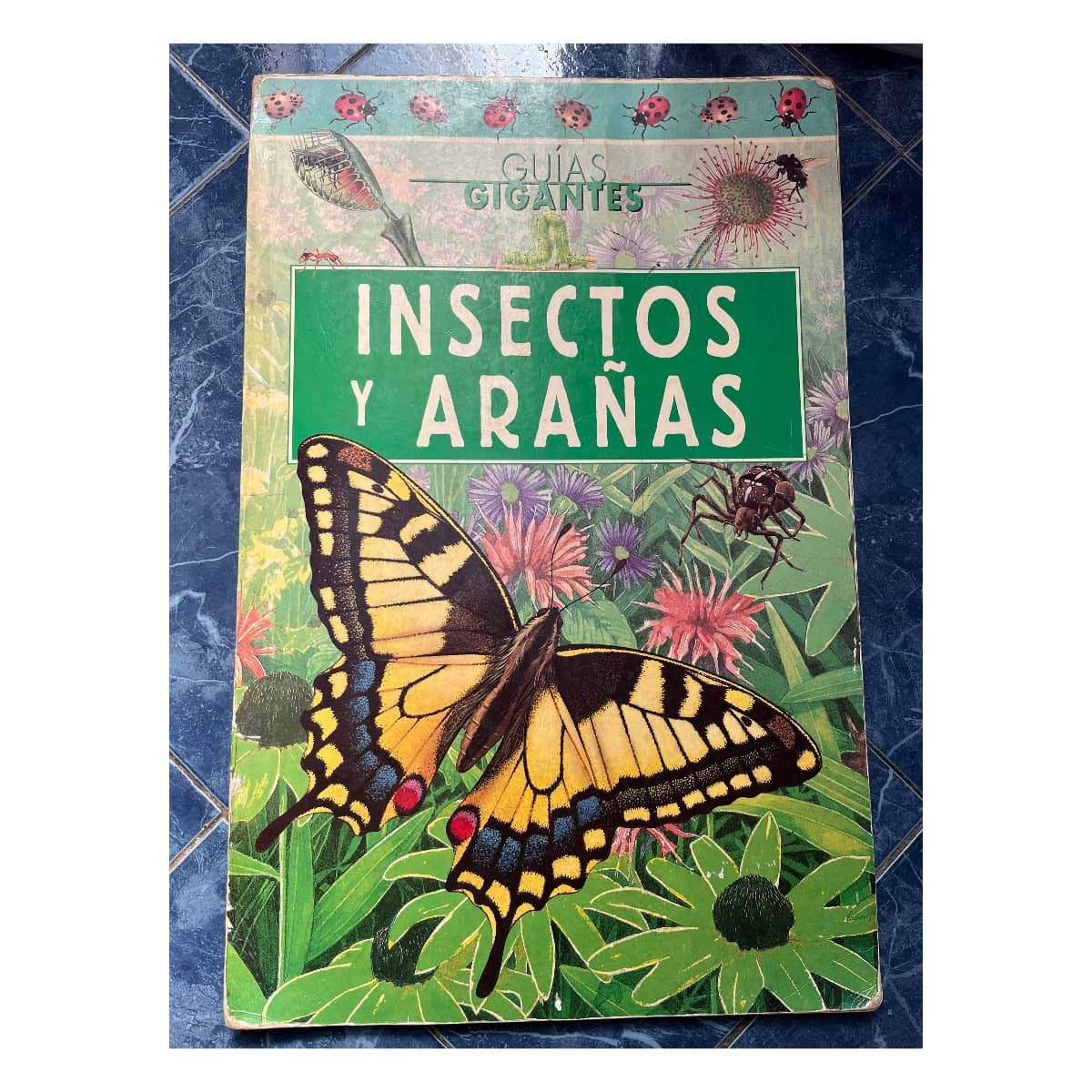 Guías gigantes: Insectos y arañas (leer descripción) — John Owen, libro usado (foto 1 de 6)