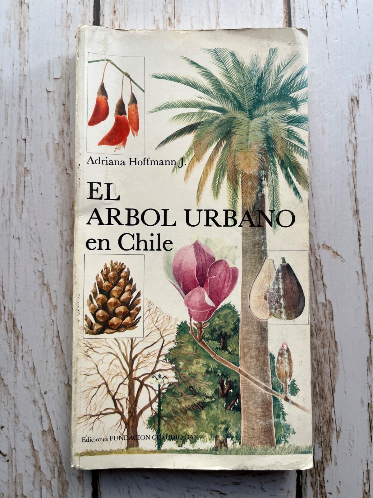 El árbol urbano en Chile (fundación Claudio Gay) — Adriana Hoffmann J., libro usado (foto 1 de 6)