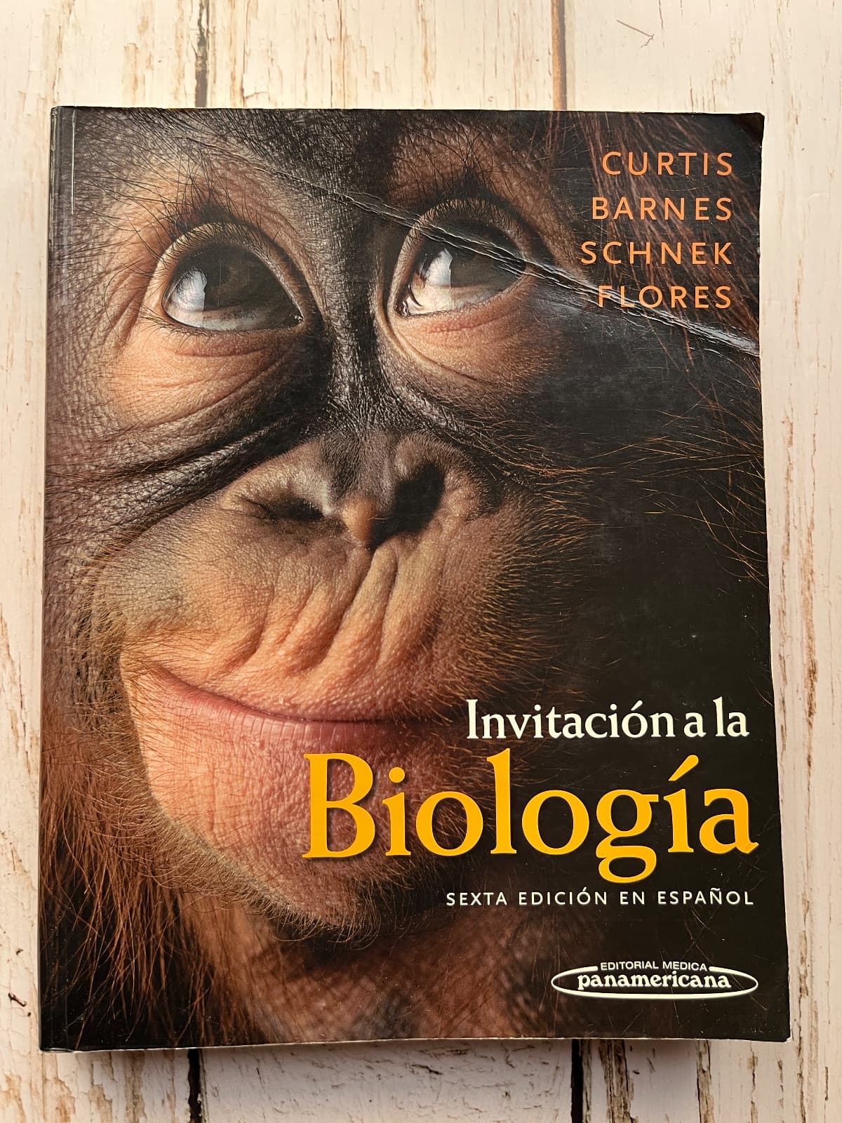 Invitación a la biología — Helena Curtis – N. Sue Barnes – Adriana Schnek – Graciela Flores, libro usado (foto 1 de 6)