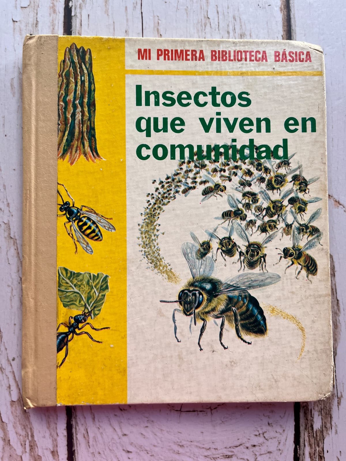 Insectos que viven en comunidad — Nn nn, libro usado