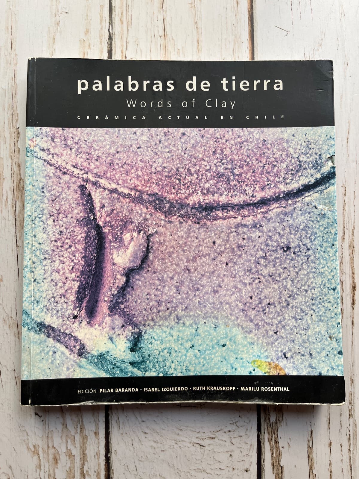 PALABRAS DE TIERRA / WORDS OF CLAY. CERÁMICA ACTUAL EN CHILE — Pilar Baranda, Isabel Izquierdo, Ruth Krauskopf y Marilu Rosenthal, libro usado (foto 1 de 6)