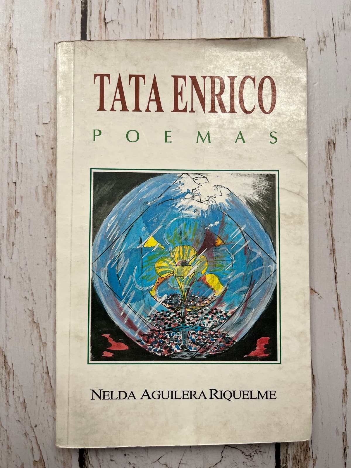 Tata Enrico. Poemas — Nelda Aguilera Riquelme, libro usado (foto 1 de 6)