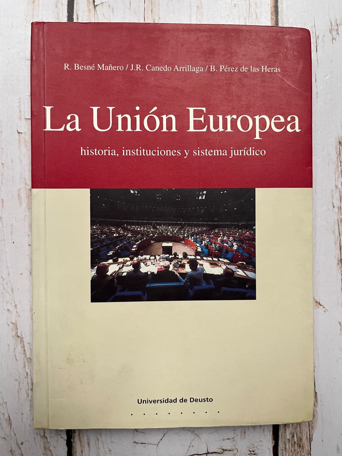 LA UNIÓN EUROPEA. HISTORIA, INSTITUCIONES Y SISTEMA JURÍDICO — R. Besné, libro usado (foto 1 de 6)