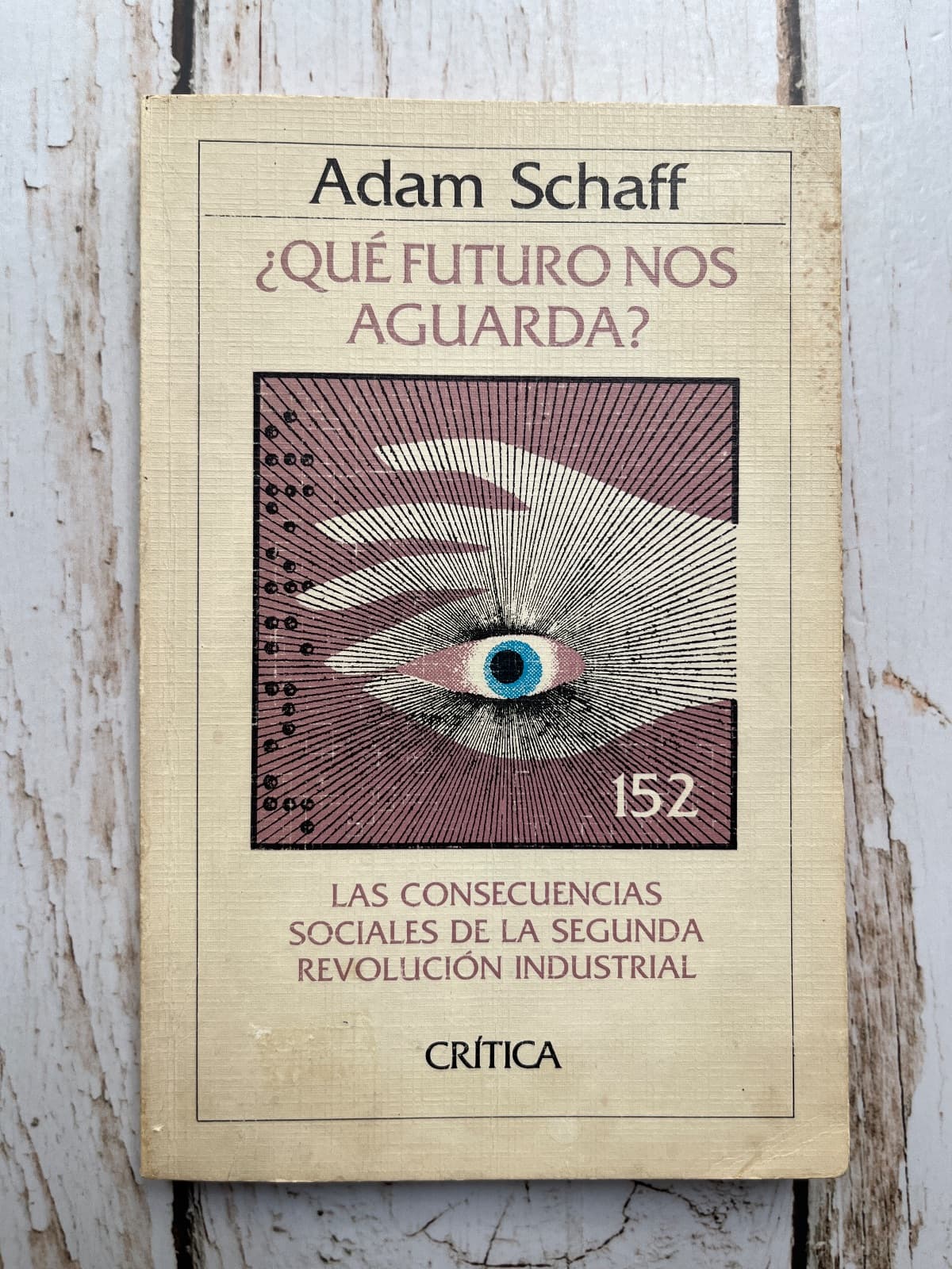 ¿Que futuro nos aguarda? — Adam Schaff, libro usado (foto 1 de 6)