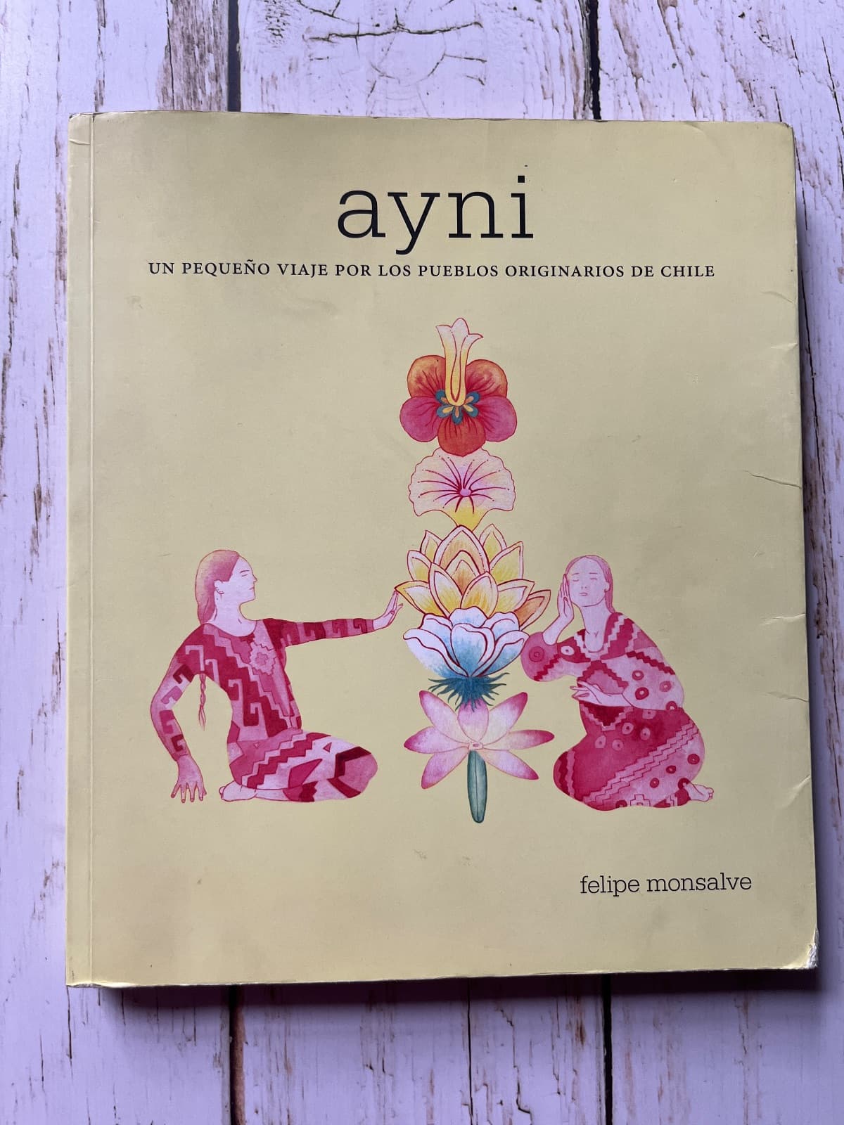 AYNI. UN PEQUEÑO VIAJE POR LOS PUEBLOS ORIGINARIOS DE CHILE — Felipe Monsalve, libro usado (foto 1 de 6)