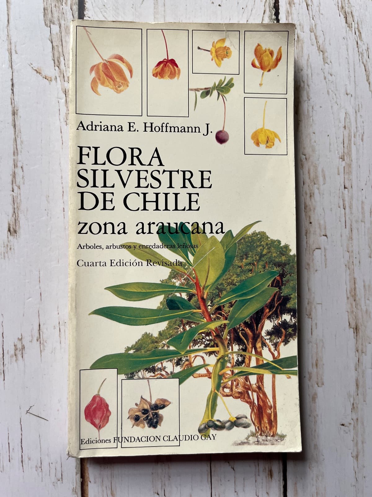 FLORA SILVESTRE DE CHILE. ZONA ARAUCANA — Adriana E. Hoffmann J., libro usado (foto 1 de 6)