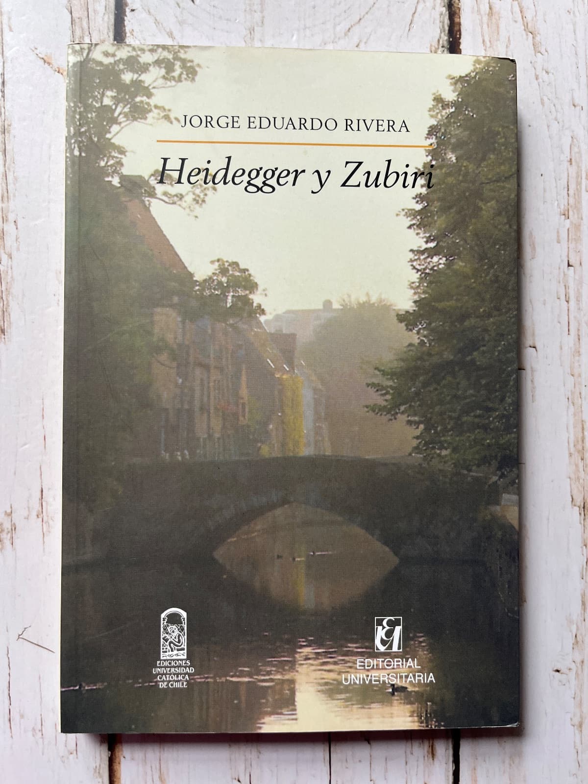 HEIDEGGER Y ZUBIRI — Jorge Eduardo Rivera, libro usado (foto 1 de 6)