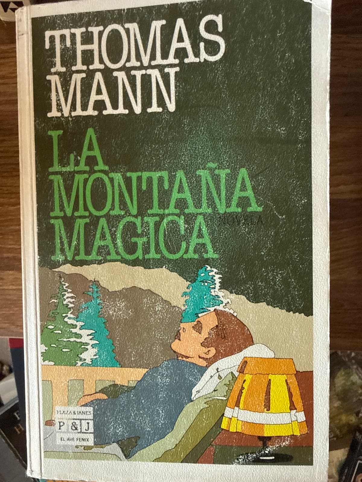La montaña mágica, libro usado