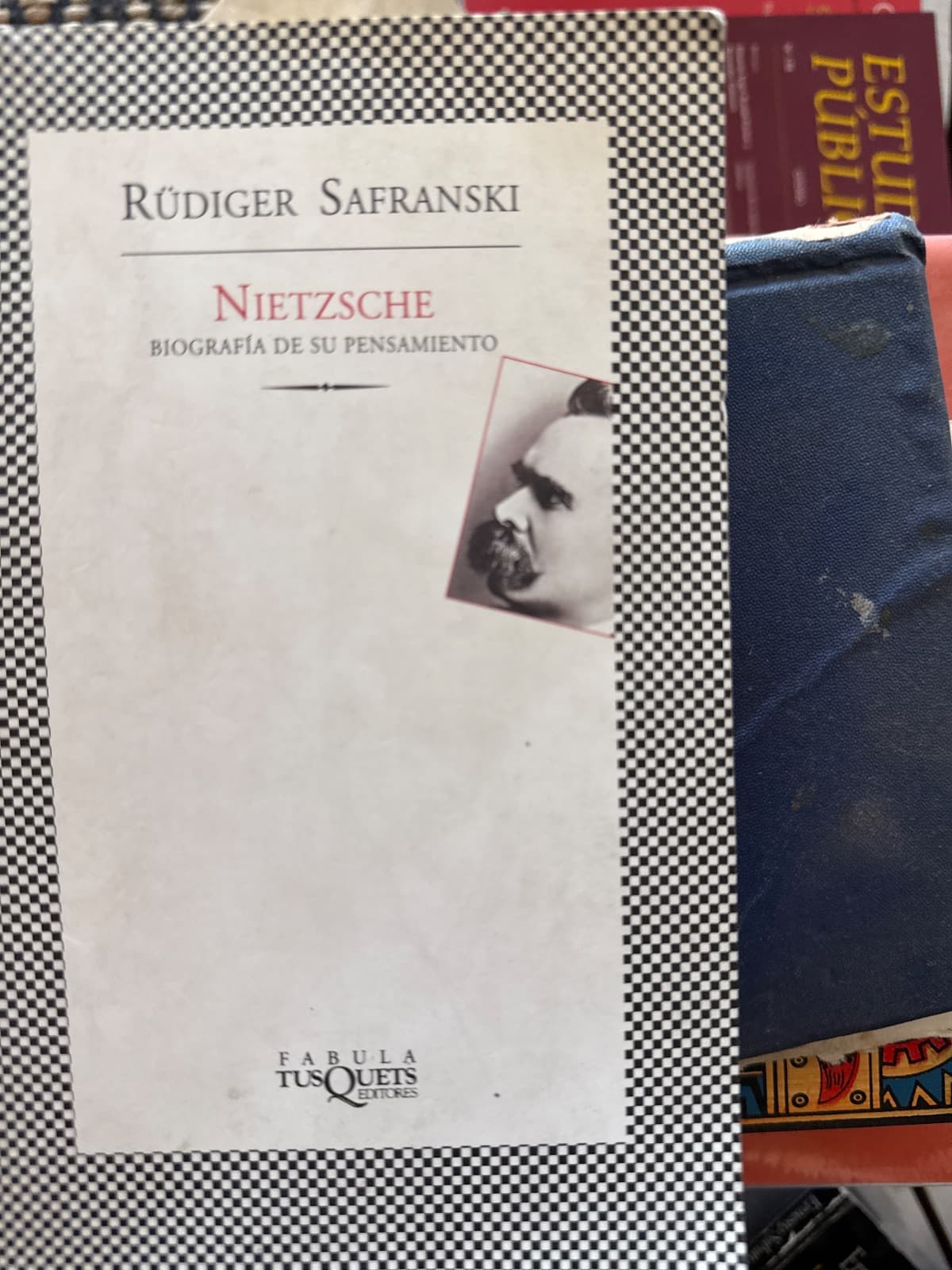 Nietzsche — Rüdiger Safranski, libro usado