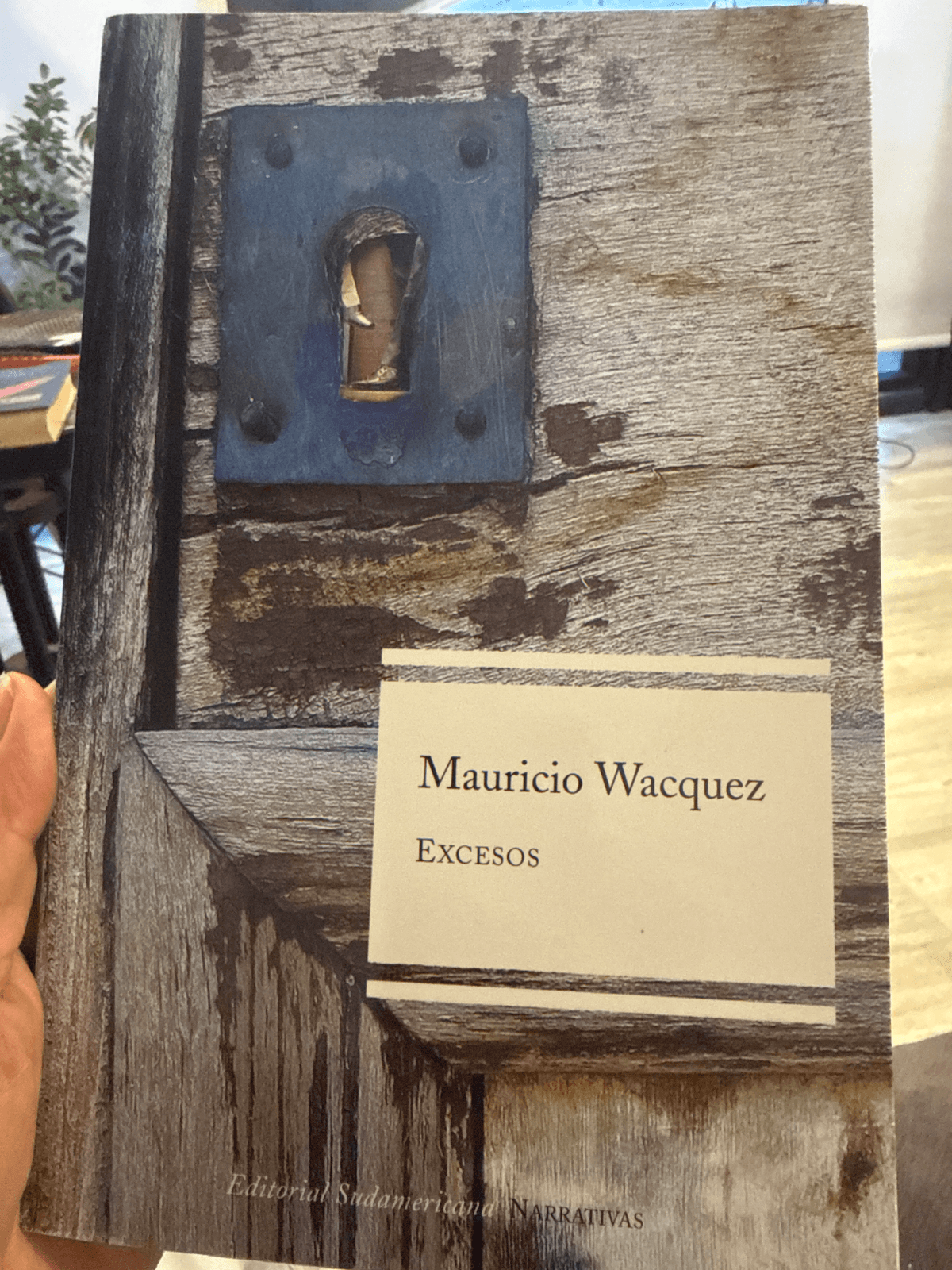Excesos — Mauricio Wacquez, libro usado