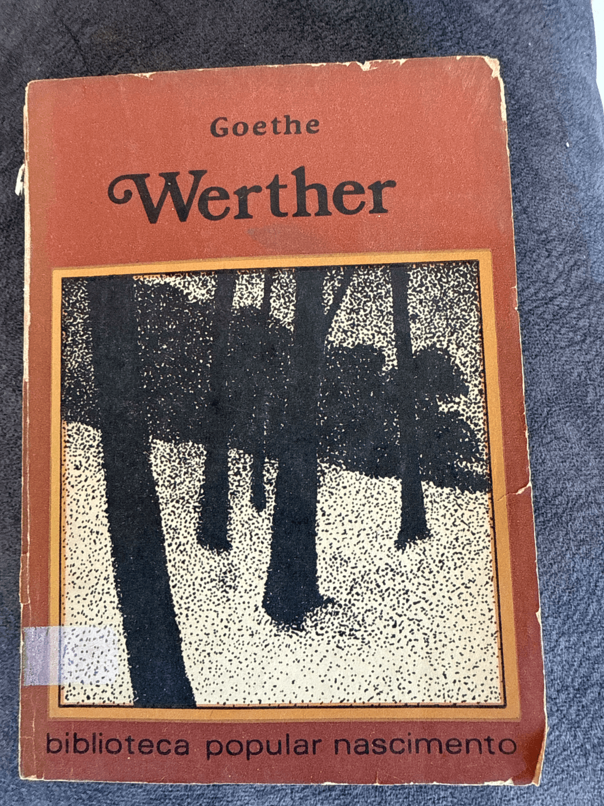 Werther — Johann Wolfgang von Goethe, libro usado (foto 1 de 3)