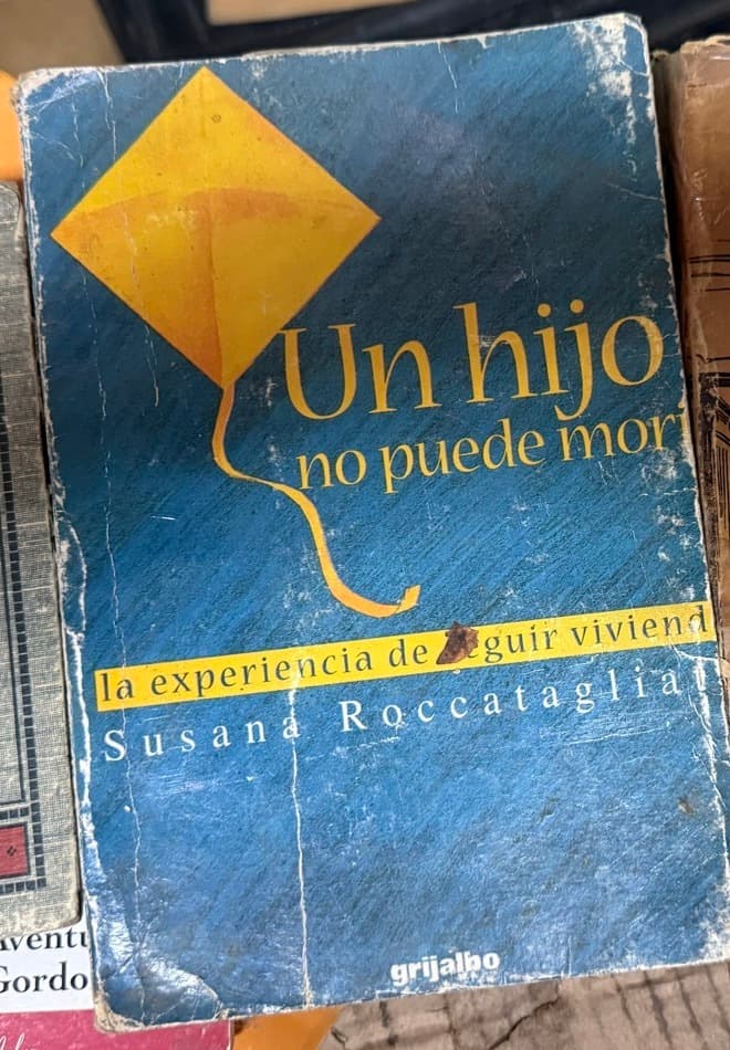 Un hijo no puede morir. La experiencia de seguir viviendo — Susana Roccatagliata, libro usado