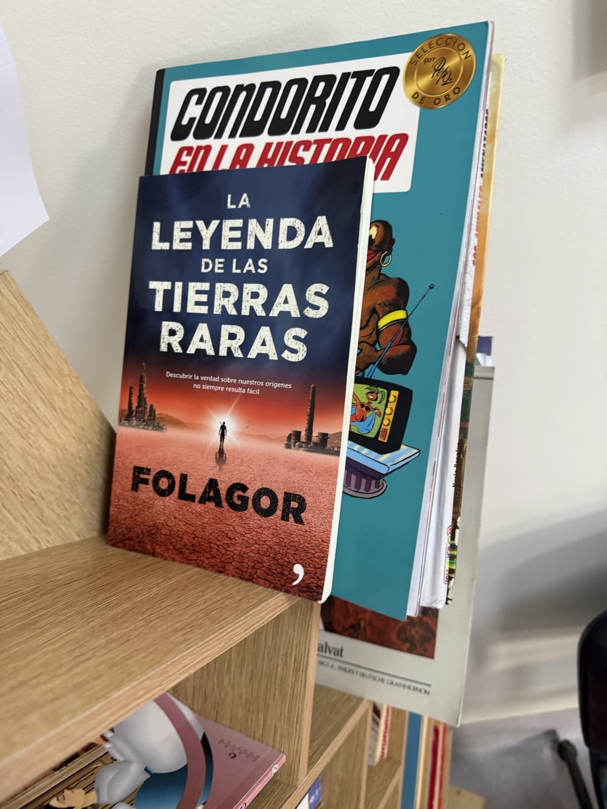 La leyenda de las tierras raras — Folagor, libro usado (foto 1 de 2)