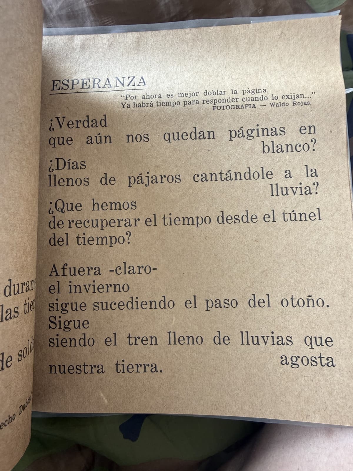 Entre ayes y pájaros — Mario Contreras Vega, libro usado (foto 2 de 2)