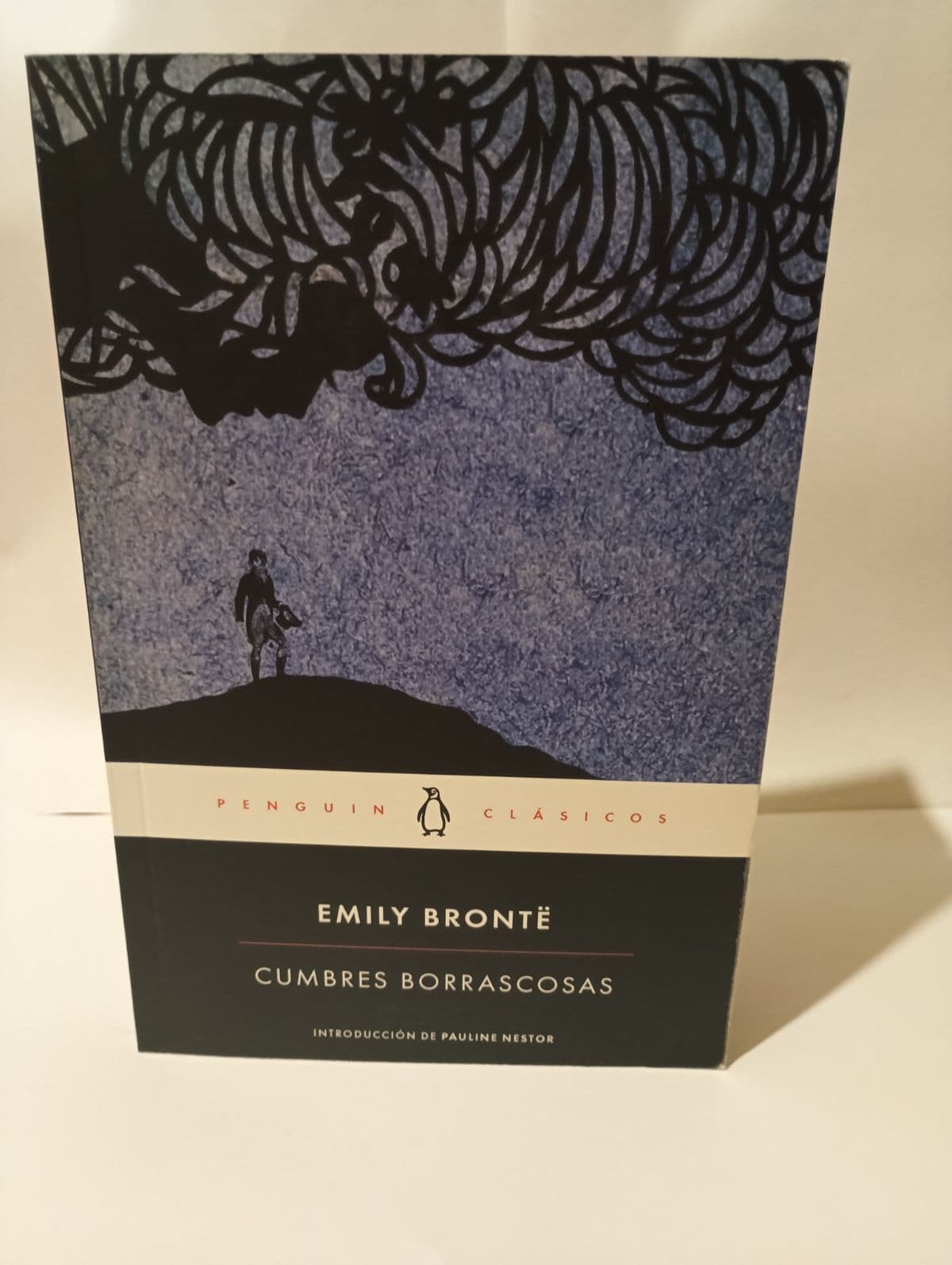 Cumbres Borrascosas — Emily Brontë, libro usado (foto 1 de 6)