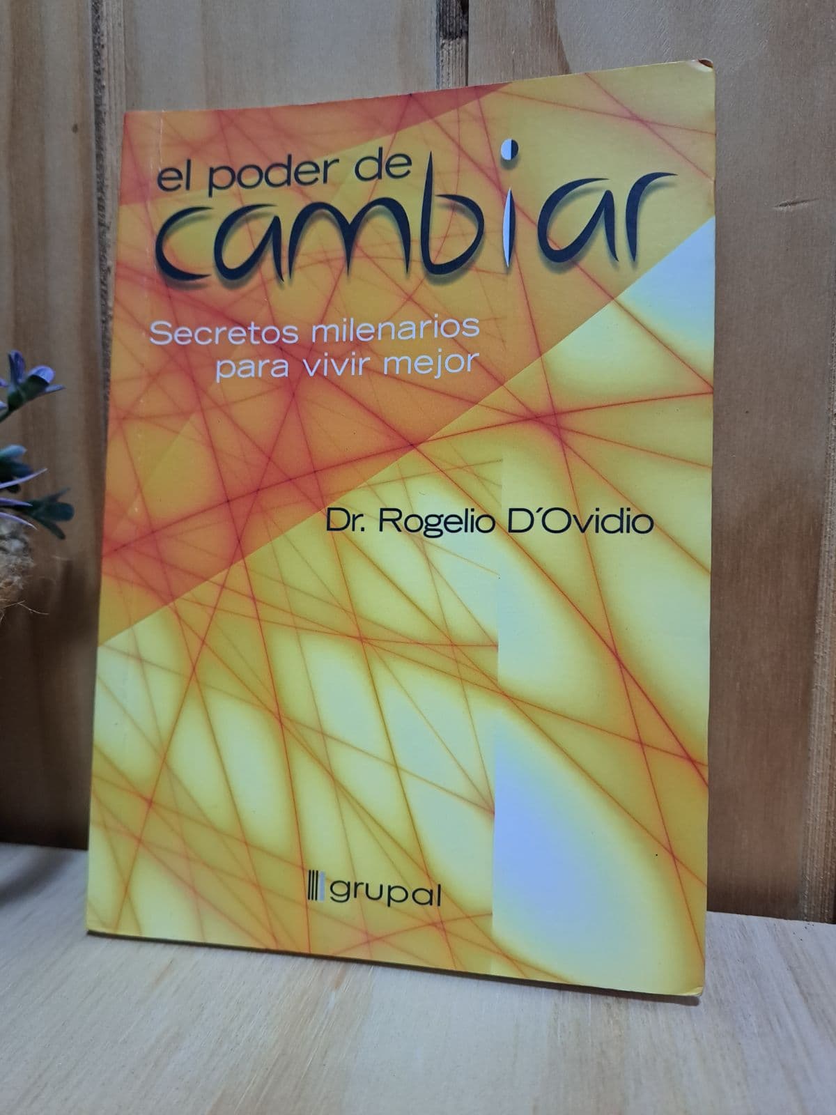 El Poder De Cambiar/ The Power Of Change (Spanish Edition) — Rogelio D'ovidio, libro usado