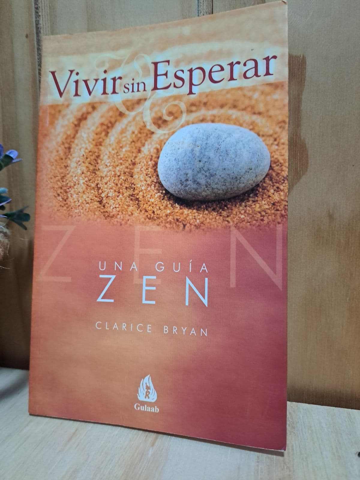 Vivir sin esperar — Clarice Bryan, libro usado