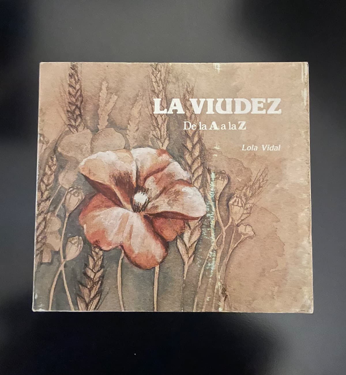 La Viudez: De la A a la Z — Lola Vidal, libro usado