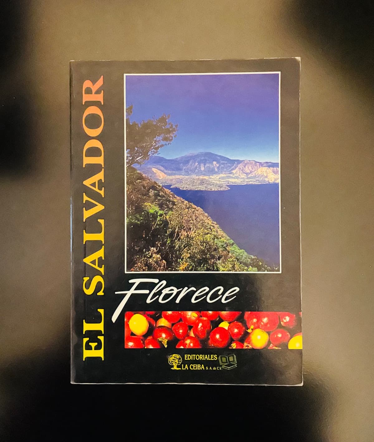 El Salvador Florece — Danilo Velado, libro usado