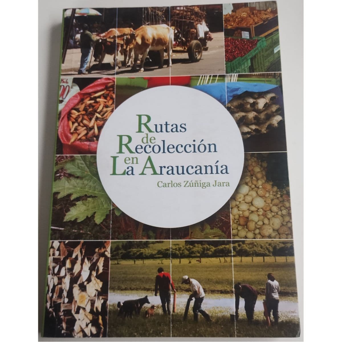 Rutas de recolección en la araucanía — Carlos Zúñiga Jara, libro usado (foto 1 de 2)